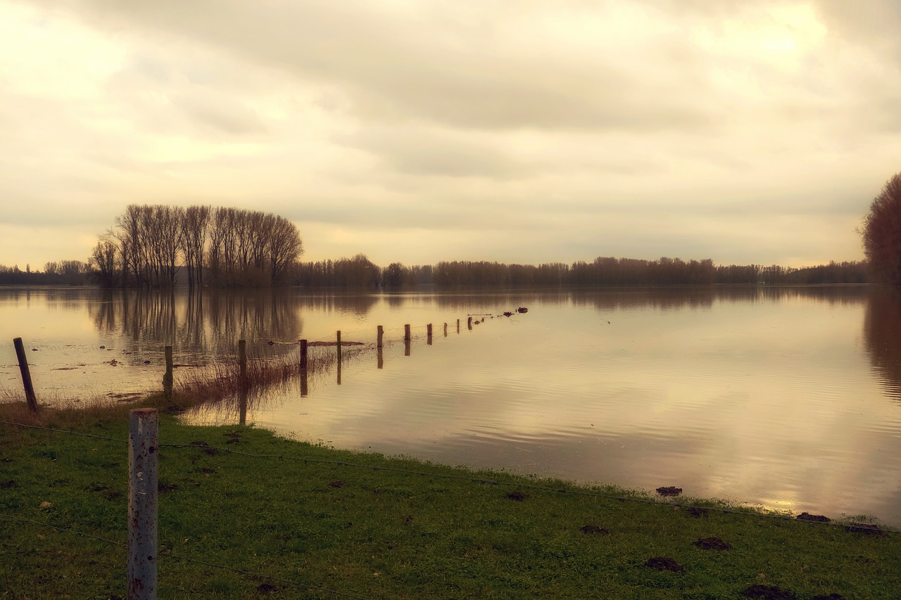The Impact of Climate Change on Home Safety